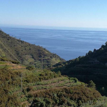 ☆ Terrace & Relax ☆ Casa Franceschin_ Homy 5 Terre Villa Riomaggiore Luaran gambar