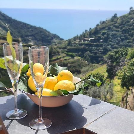 ☆ Terrace & Relax ☆ Casa Franceschin_ Homy 5 Terre Villa Riomaggiore Luaran gambar