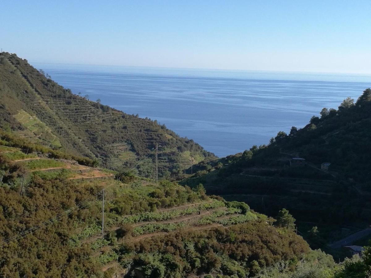 ☆ Terrace & Relax ☆ Casa Franceschin_ Homy 5 Terre Villa Riomaggiore Luaran gambar