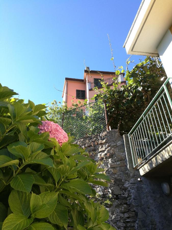 ☆ Terrace & Relax ☆ Casa Franceschin_ Homy 5 Terre Villa Riomaggiore Luaran gambar